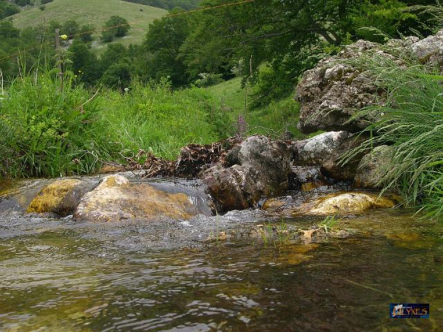 scorcio del torrente.JPG